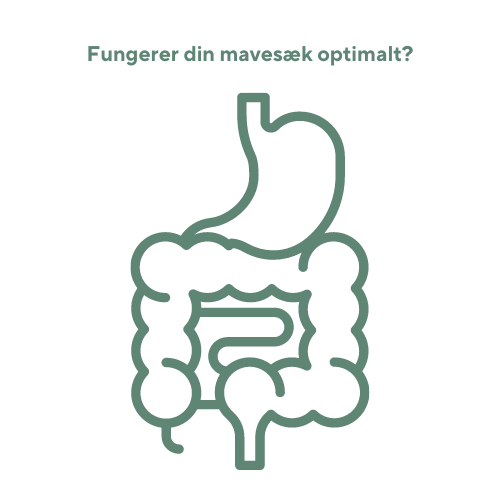 GastroPanel® Quick Test